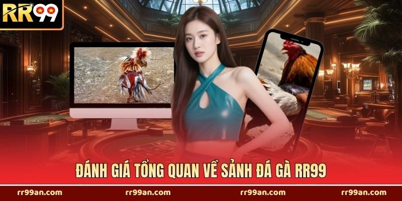 Đánh giá tổng quan về sảnh đá gà RR99