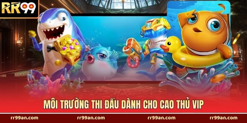 Môi trường thi đấu dành cho cao thủ VIP