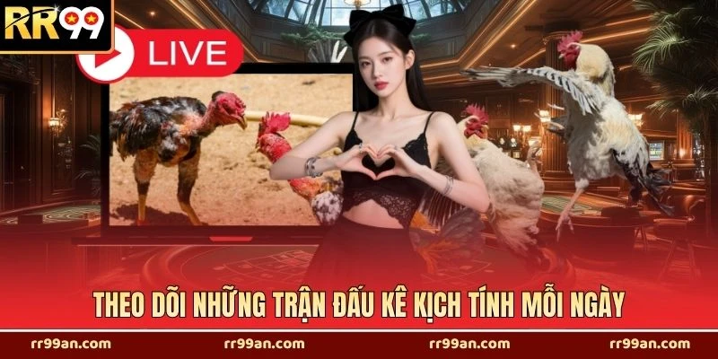 Theo dõi những trận đấu kê kịch tính mỗi ngày