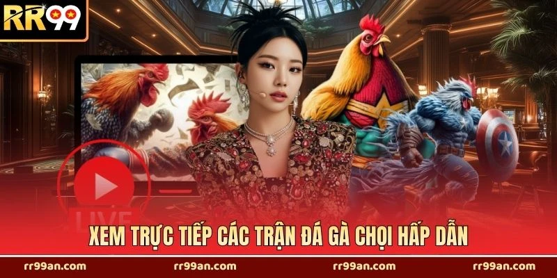 Xem trực tiếp các trận đá gà chọi hấp dẫn